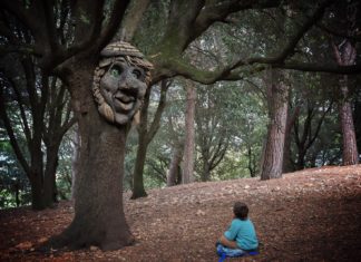 Un tuffo nella natura con i centri estivi Borgorete alla Città della Domenica