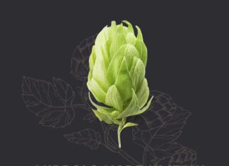 Luppolo, ecco il bando di 1,5 milioni di euro per la creazione della filiera