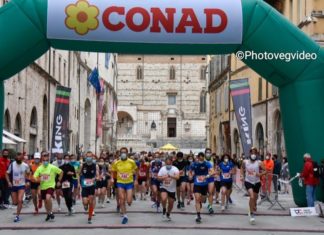 GRIFONISSIMA 2022: aperte le iscrizioni