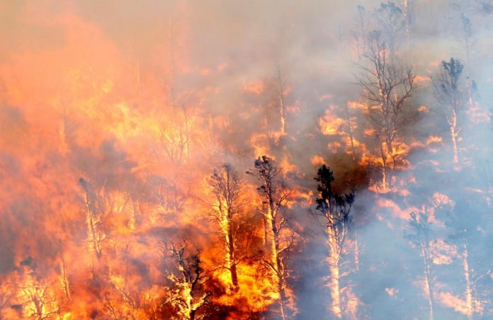 California in fiamme, non si allenta la morsa degli incendi