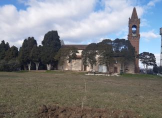 “Via europea della seta”: Faro Trasimeno mette a dimora 60 piante di gelso