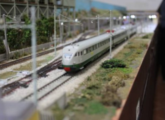 Piegaro – Non solo fossili al Museo “Luigi Boldrini” di Pietrafitta