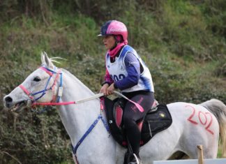 Città della Pieve, grande prova di tutto il Fuxiateam nell’internazionale