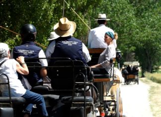 Tutti in carrozza, torna il viaggio da Cortona ad Assisi per persone con disabilità
