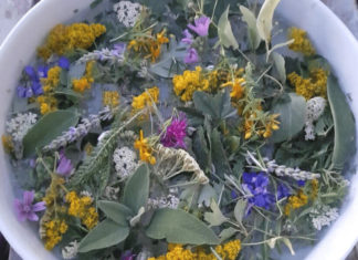 A Marmore rivive la tradizione dell’acqua profumata di San Giovanni