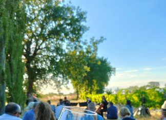 Un quartetto di flauti al tramonto per il prossimo ‘Vigne & Note’