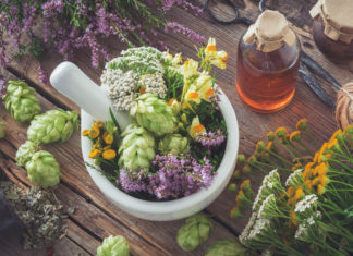 Piante officinali, volano economico per l’area Valtiberina Umbro Toscana