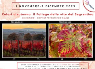 Vino e fotografia: torna il contest ‘Colori d’autunno: il foliage della vite di Sagrantino’