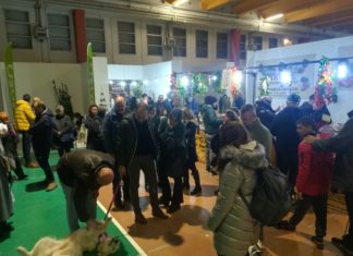 Mostra del tartufo di Valtopina, stimate tra le 4 e le 5 mila presenze