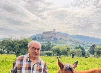 Ai piedi della Basilica di Assisi è nata la cavallina Love Pax