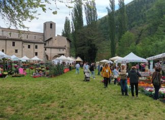 Torna Primavera in Valnerina, Sant’Anatolia di Narco diventa un grande giardino fiorito