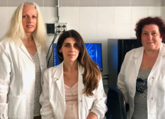 Ricerca UniPg contribuisce alla conoscenza dei meccanismi delle patologie autoimmuni