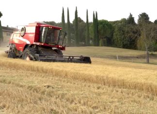 Tutto pronto a Città di Castello per la quarta Festa del raccolto di Molini Fagioli