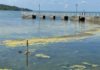 Il Ministro Musumeci promette misure a salvaguardia del Lago Trasimeno