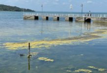 Il Ministro Musumeci promette misure a salvaguardia del Lago Trasimeno
