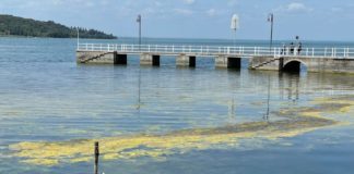 Il Ministro Musumeci promette misure a salvaguardia del Lago Trasimeno