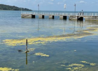 Il Ministro Musumeci promette misure a salvaguardia del Lago Trasimeno