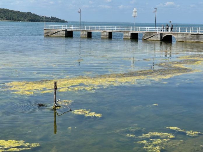 Il Ministro Musumeci promette misure a salvaguardia del Lago Trasimeno