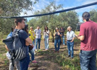 L'Università degli Studi di Perugia protagonista in Europa