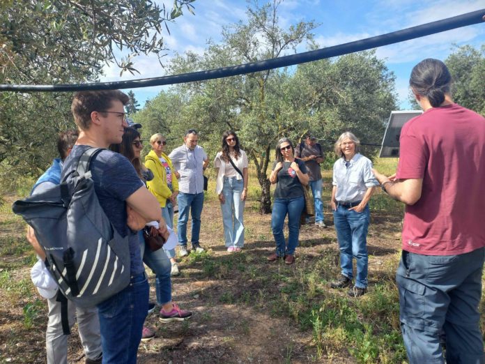L'Università degli Studi di Perugia protagonista in Europa