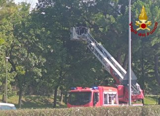 Rami pericolanti in Via Bramante a Terni: intervento dei vigili del fuoco