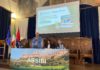 Visit Assisi