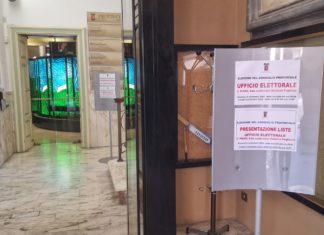 Elezioni provinciali