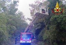 Vigili del Fuoco in azione a Deruta: salvato cane caduto in un pozzo
