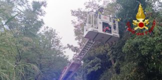 Vigili del Fuoco in azione a Deruta: salvato cane caduto in un pozzo