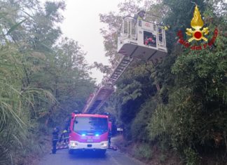 Vigili del Fuoco in azione a Deruta: salvato cane caduto in un pozzo