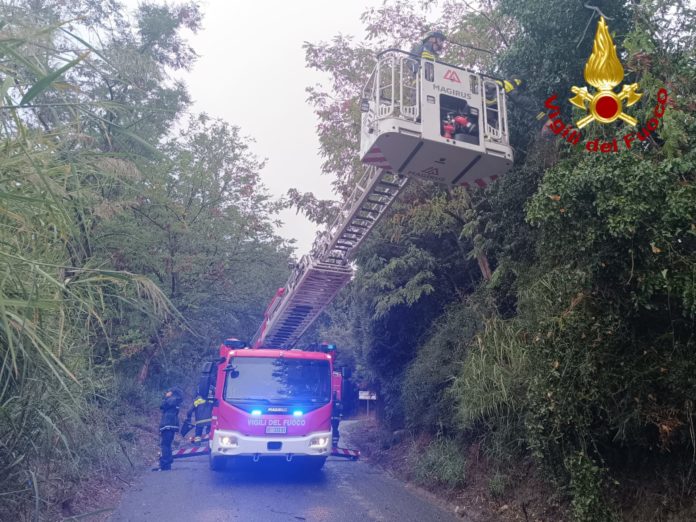 Vigili del Fuoco in azione a Deruta: salvato cane caduto in un pozzo