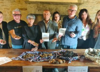 Tartufo bianco, Pietralunga dà il via alle danze in Umbria