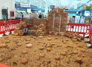 Quasar Halloween Village: arriva la festa più mostruosa dell’anno