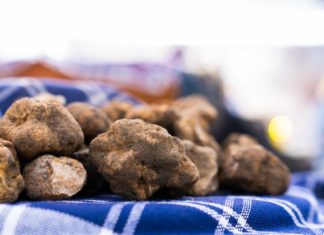Pietralunga, al via la 37esima mostra mercato del tartufo bianco e della patata