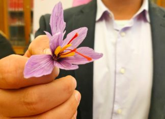 A Cascia prende il via il lungo weekend della 23ª Mostra mercato dello zafferano