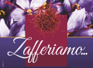 “Zafferiamo”, Città della Pieve celebra il suo prodotto di punta