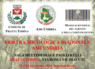 Mostra micologica a Fratta Todina: erbe e funghi in mostra