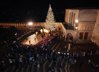 Il Natale nella Basilica di San Francesco