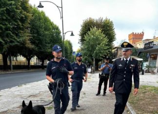 Città di Castello: controlli antidroga all’inizio dell’anno scolastico con unità cinofile