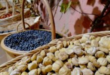 Tra profumi e sapori dell’autunno pronta la Festa del bosco a Montone