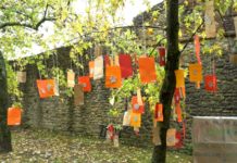 È nel vivo la Festa del bosco, Montone esplode di allegria, profumi e sapori