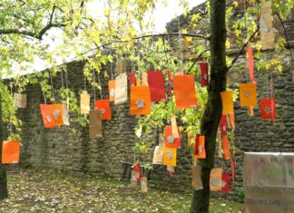 È nel vivo la Festa del bosco, Montone esplode di allegria, profumi e sapori