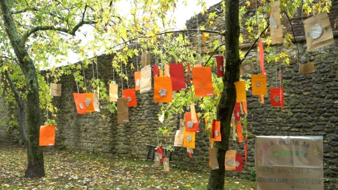 Festa del bosco Montone (1)