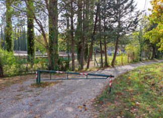 Fiera dei Morti 2025: dal 1° al 5 novembre la grande tradizione torna a Perugia