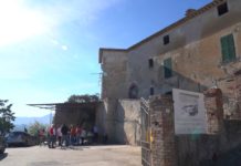 A Colle del Marchese torna Frantotipico: olio nuovo, sapori autentici e intrattenimento