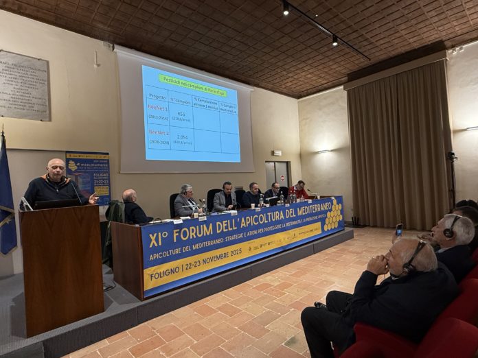 Forum apicoltura Mielinumbria 202500002