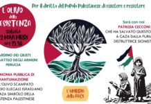 L’‘Olivo della Resistenza’: a Perugia la piantumazione della pianta proveniente da Gaza