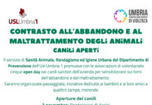 Canili aperti contro l’abbandono e il maltrattamento degli animali