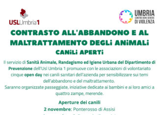 Canili aperti contro l’abbandono e il maltrattamento degli animali