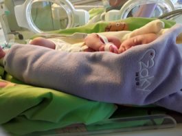 Giornata della prematurità: iniziative della Neonatologia di Perugia